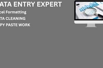 do professional data entry and microsoft excel formatting