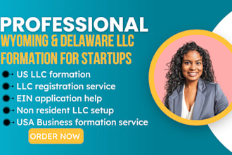 form your delaware or wyoming llc for asset protection and business privacy