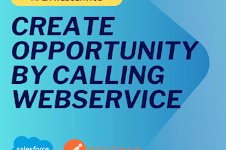 be your salesforce lead developer and solution architect