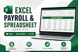create, manage, and organize excel spreadsheets and payroll