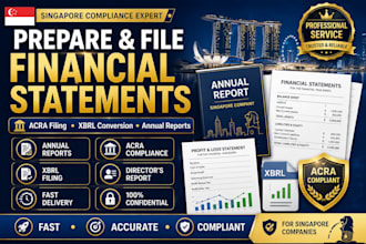 prepare and file financial statements for singapore company