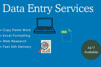 do data entry and  excel data analysis  and product listing