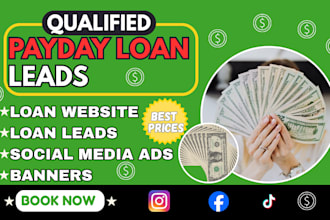 run high converting payday loan leads, google,facebook ad campaigns