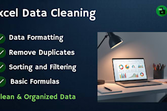 do clean, format, organize and remove duplicate  excel data