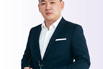 translate english to chinese or chinese to english professionally