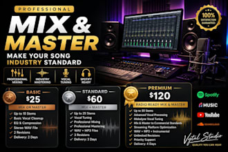 professionally mix and master punjabi song