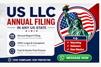 file your US llc annual report, wyoming, delaware, any US state compliance