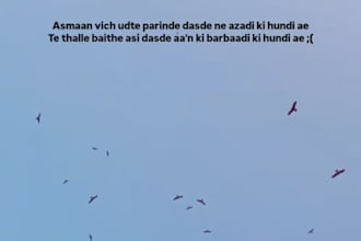 write soulful hindi and punjabi shayari and aesthetic poetry
