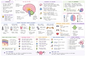 create luxury aesthetic study notes
