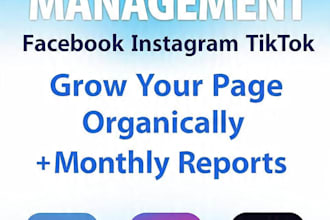 manage facebook and insta page with content and engagement