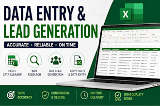do data entry and excel data cleanup