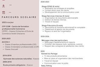 create a professional and modern CV resume design