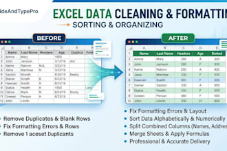 do professional excel data cleaning, formatting, and sorting