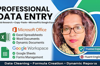 do expert data entry, excel, and google sheets work