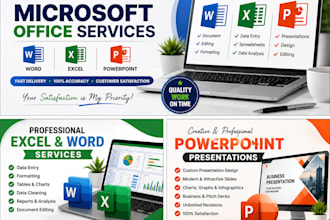 do ms word, excel and power point work professionally