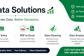 do excel data entry, cleaning , data analysis with accuracy