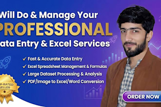 professional excel, word, PDF data entry service fast