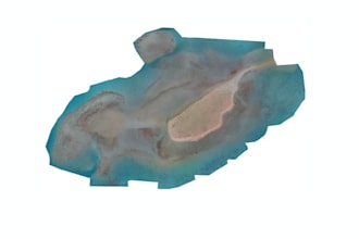 process your drone images into orthomosaic, dem, point cloud, and 3d model