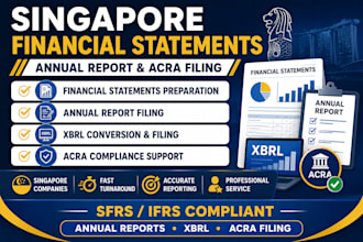 prepare and file financial statements for singapore company