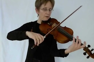 record violin, viola, cello, double bass, oud, fiddle, banjo, harp and mandolin