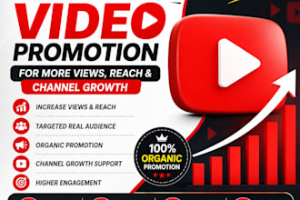 do social media promotion, website promotion, and organic traffic marketing
