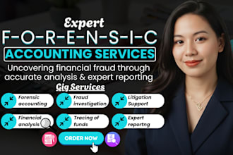 forensic accounting, financial audit, fraud investigation and asset tracing