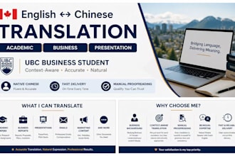 translate professional documents between english and chinese
