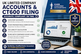prepare and file UK company accounts and ct600