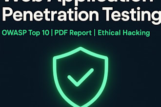 perform professional web application penetration testing and owasp top 10