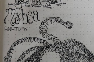 flesh out the anatomy of your fantasy creatures