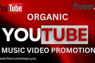 youtube video promotion in USA,organic growth  complete monetization playlist