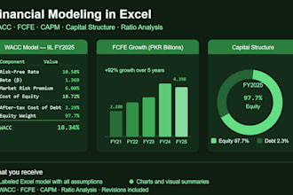 build a professional financial model in excel for your business or stock