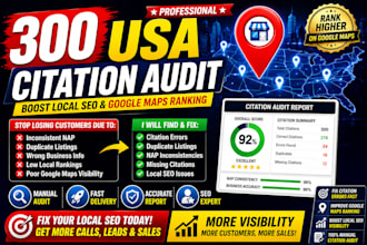 manually do USA citation audit for local business seo