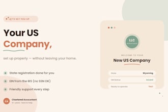 help you set up your US llc from start to finish