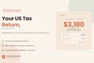 prepare your US tax return, personal, business or non resident