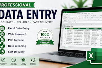 do data entry, excel data cleaning and web reseaerch