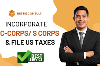 prepare and efile US tax returns for personal corporate llc, s corps, c corps