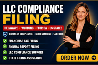 handle llc franchise tax and annual report filings for delaware and US states
