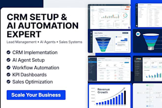 setup CRM, ai agents, sales funnels automation and business systems