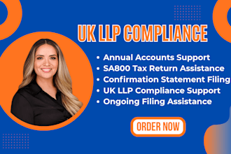 assist with UK llp annual accounts, sa800 and confirmation statement filing