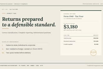 prepare and review your US federal and state tax returns