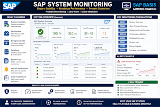provide sap basis administration and sap mm support services
