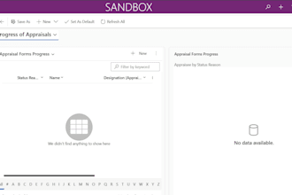 develop custom IT solutions and CRM automation workflows