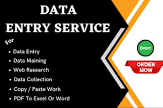 excel data entry and spreadsheet formatting