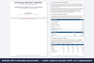write a detailed project report dpr or investor information memorandum