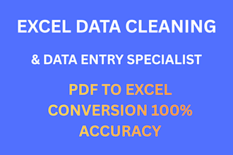 do professional excel data entry data cleaning and formatting