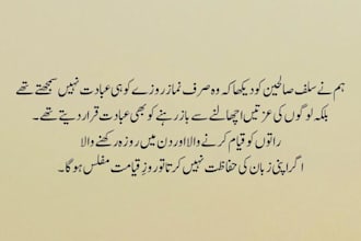 do expert urdu typing and english to urdu translation