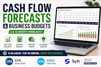 create a cash flow forecast and business budget