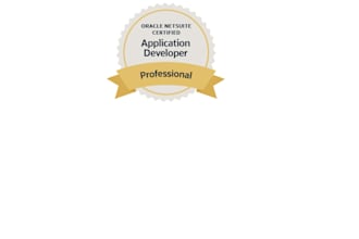 offer my services as netsuite developer and consultant