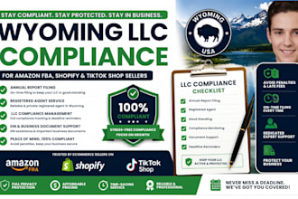 manage delaware US llc compliance for amazon fba shopify and tiktok sellers
